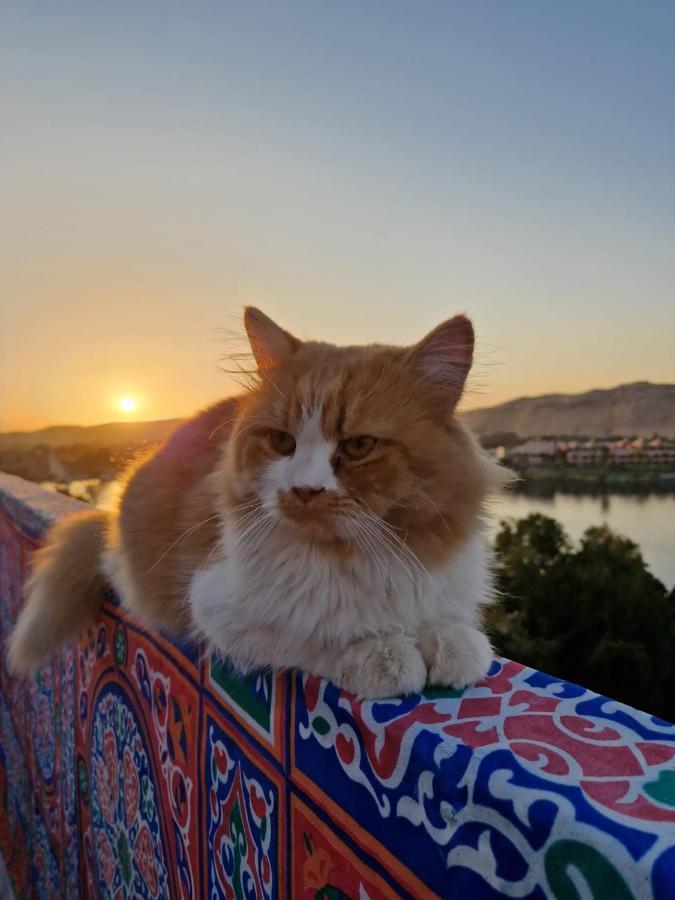 Go Inn Backpackers Aswan Ngoại thất bức ảnh