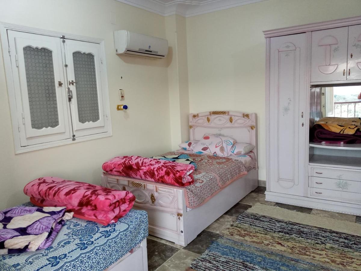 Go Inn Backpackers Aswan Ngoại thất bức ảnh